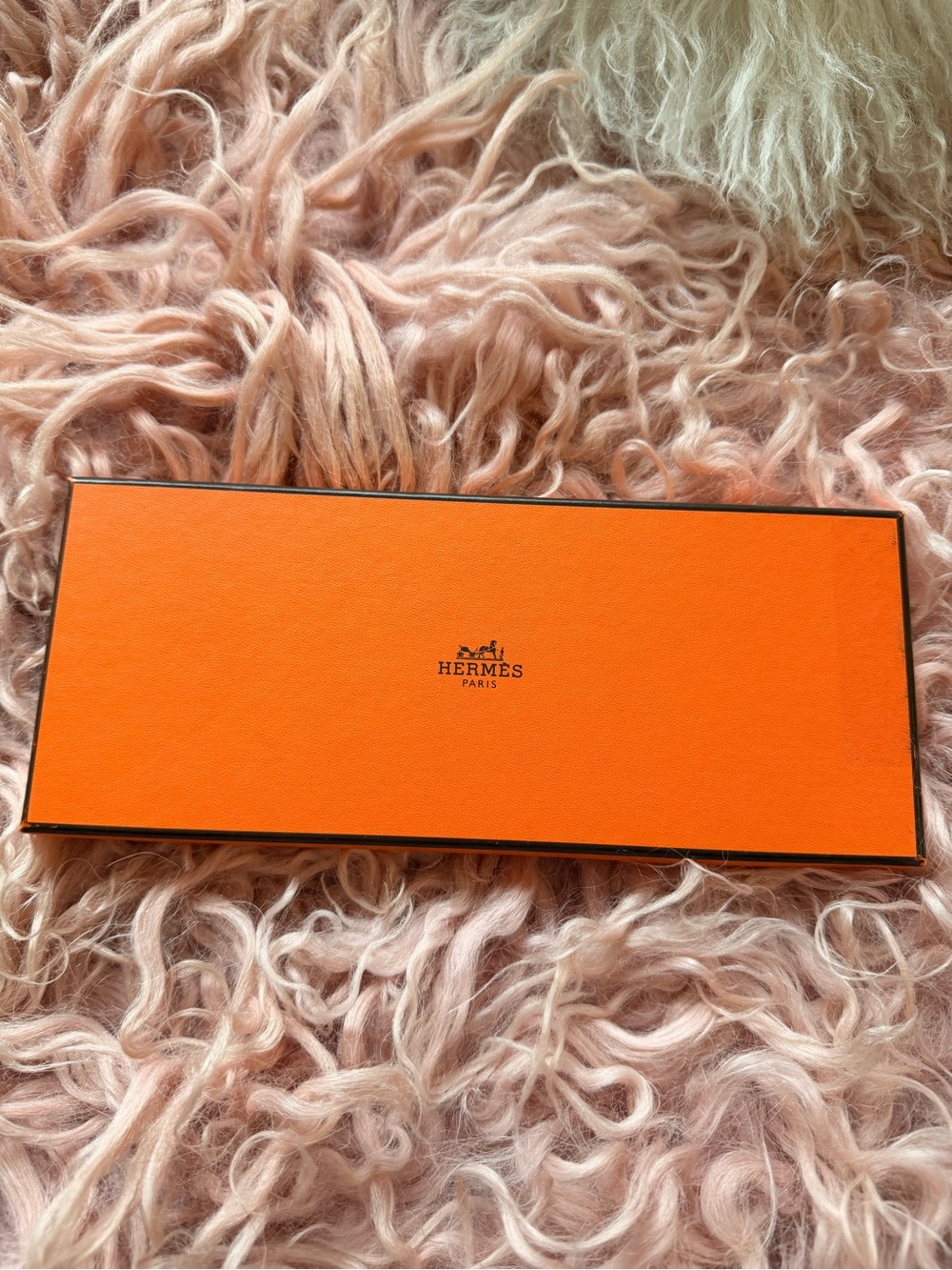 SUPER RARE Hermes Rodeo Pegase Touch 🐊 - Picture 7 of 7
